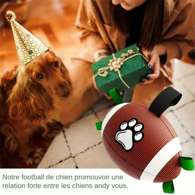 MCBOSON Robuster Hunde-Football aus Gummi