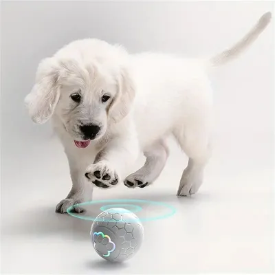 MCBOSON Hüpfball für Hunde MCBOSON Hüpfball für Hunde