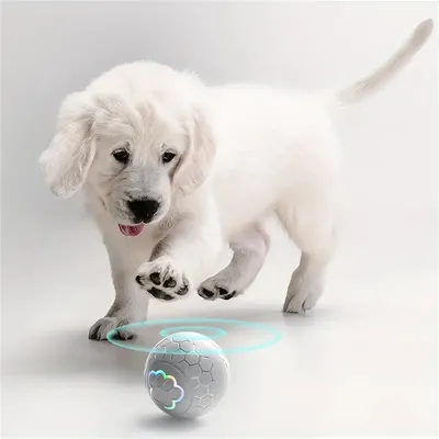 MCBOSON Balle rebondissante pour chien