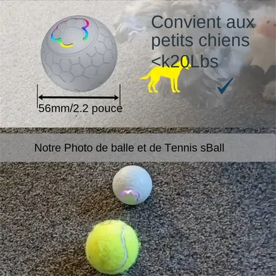 MCBOSON Balle rebondissante pour chien