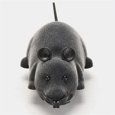 MCBOSON Jouets pour chat et souris