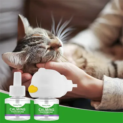 MCBOSON Kit diffuseur calmant pour chat MCBOSON Kit diffuseur calmant pour chat