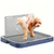 MCBOSON Toilettes élevées pour chien MCBOSON Toilettes élevées pour chien