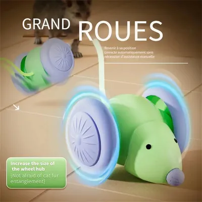 MCBOSON Jouets pour chat et souris