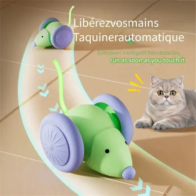 MCBOSON Jouets pour chat et souris