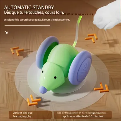 MCBOSON Jouets pour chat et souris