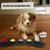 MCBOSON Bouton de communication pour chien