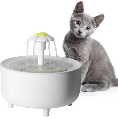 Abreuvoir silencieux pour chiens et chats