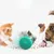 CoolPetGear Jouet de nourriture qui fuit dans un gobelet