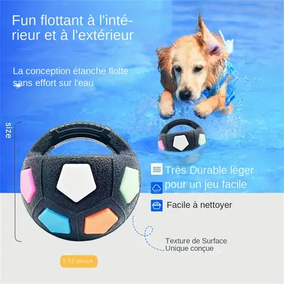 MCBOSON Jouet Ball en TPR pour chien