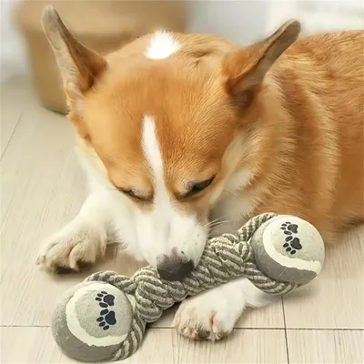 MCBOSON Hunde-Zahnreinigungsball MCBOSON Hunde-Zahnreinigungsball