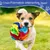 MCBOSON Balle jouet interactive pour chien, peut fuir de la nourriture MCBOSON Balle jouet interactive pour chien, peut fuir de la nourriture