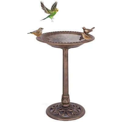 GIANTEX Bain d'oiseaux Plateau de Diamètre 50CM, Abreuvoir Oiseaux