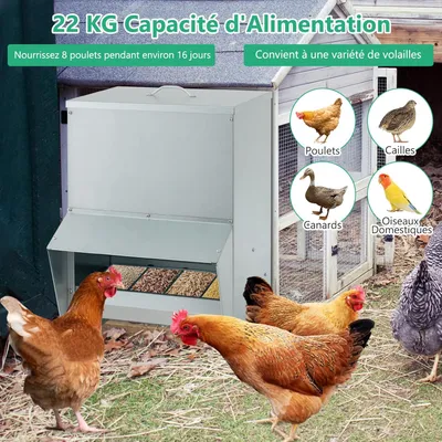 GIANTEX Mangeoire à Poulet Galvanisée 22Kg, Fixation Murale, Anti-Rats