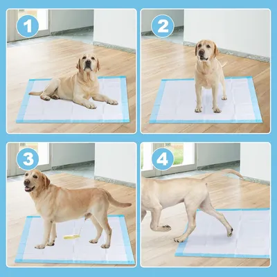 GIANTEX Lot de 150 Tapis Éducateurs pour Chien, Tapis Hygiénique Absorbant