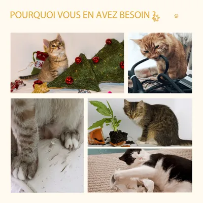 PawHut ? Arbre à chat 2 griffoirs niche entrée tête chat plateforme