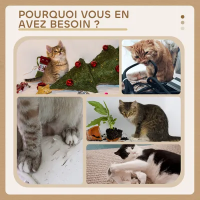 PawHut - arbre à chat multi-équipement H.83 cm - beige
