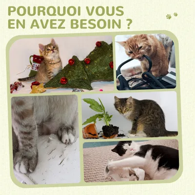 PawHut - arbre à chat multi-équipement