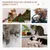 PawHut - arbre à chat style cosy chic H.56 cm - beige PawHut - arbre à chat style cosy chic H.56 cm - beige