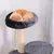 PawHut - arbre à chat multi-équipement H.65 cm - gris