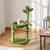 PawHut - arbre à chat design cactus H.60 cm - vert