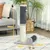 PawHut - arbre à chat multi-équipement H.85 cm - gris