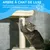 PawHut - arbre à chat poteau multi-équipement H.230-260 cm - beige
