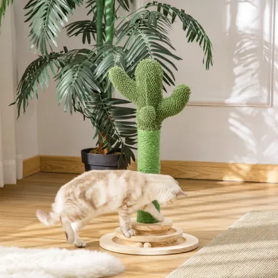 PawHut ? Griffoir chat design cactus jouets bois de pin sisal vert