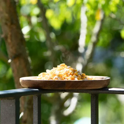 Lyra Pet® Körnermais Futtermais