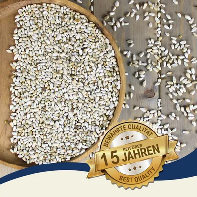 Lyra Pet® Kardisaat