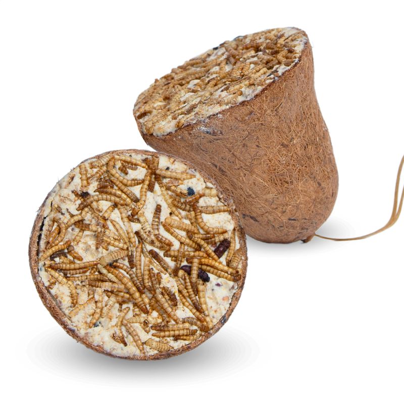 Lyra Pet® Protein Boost Futterglocke mit Mehlwürmern