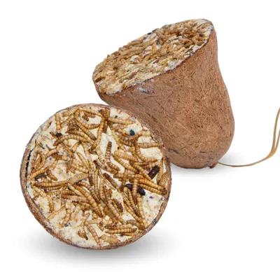 Lyra Pet® Cloche à nourriture avec vers de farine