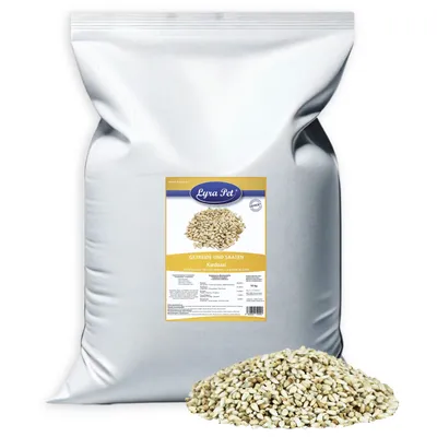 Lyra Pet® graines de carthame