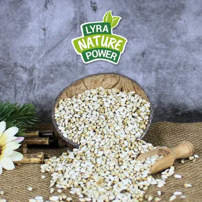 Lyra Pet® Kardisaat