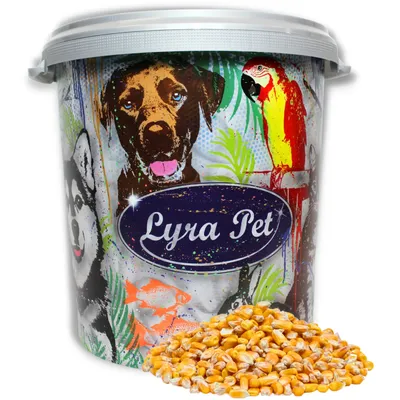 Lyra Pet® Maïs grain Maïs fourrager