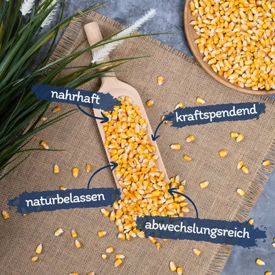 Lyra Pet® Maïs grain Maïs fourrager