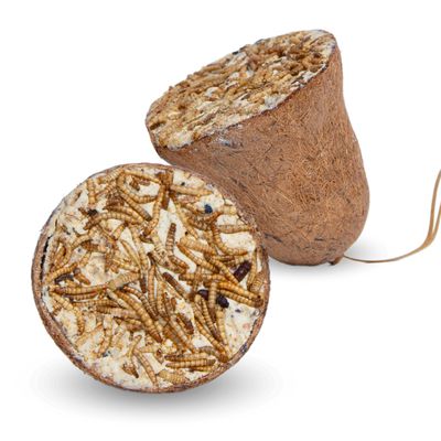 Lyra Pet® Protein Boost Futterglocke mit Mehlwürmern