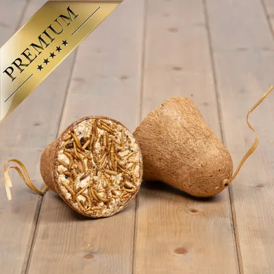 Lyra Pet® Cloche à nourriture avec vers de farine