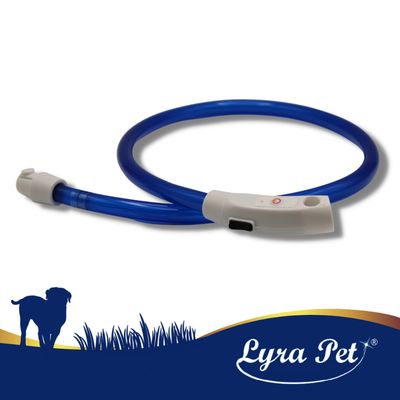 Lyra Pet® LED collier 70 cm bleu