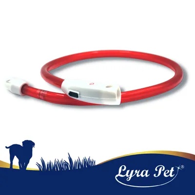 Lyra Pet® LED collier 70 cm rouge