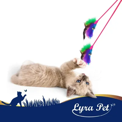 Lyra Pet® Canne à pêche pour chats rose avec plume