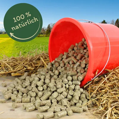 Lyra Horse® Gâteau au lin sans céréales