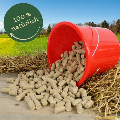 Lyra Horse® friandises à la banane