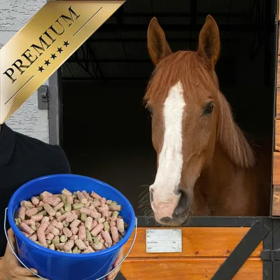 Lyra Horse® friandise carotte-framboise-herbes