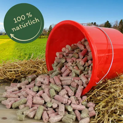 Lyra Horse® friandise carotte-framboise-herbes