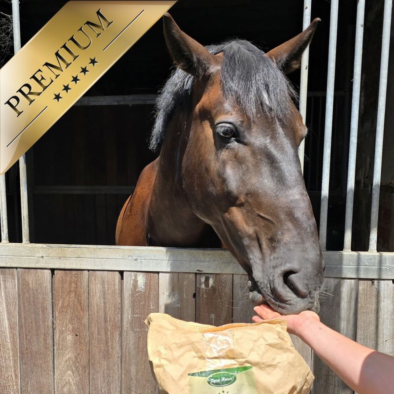 Lyra Horse® Muesli aux herbes Aliments pour chevaux