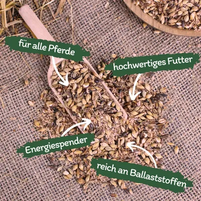 Lyra Horse® English Mash Aliment original pour chevaux