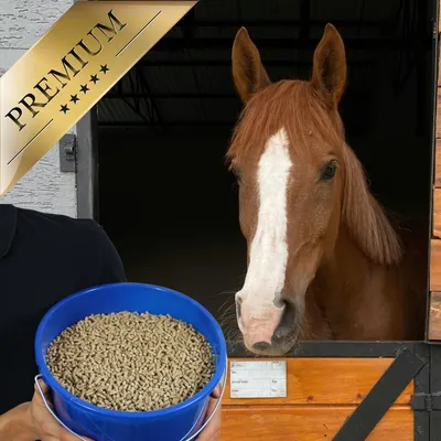 Lyra Horse® Multivital aliment minéral classique en seau