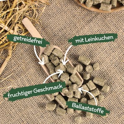 Lyra Horse® Leinkuchen Leckerli