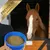 Lyra Horse® Senior aliment minéral en seau